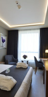 Hotel Holiday Inn Bursa City Centre