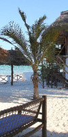 Makuti Beach Bungalows