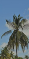 Zanzibar Dream Lodge
