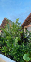 Zen Boutique Resort
