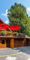 Casa Verde Star