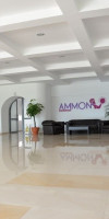 AMMON