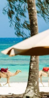 THE SANDS AT NOMAD
