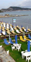 DELPHIN IMPERIAL