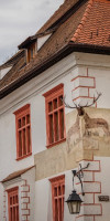 Casa cu Cerb CM