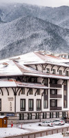 Lion Bansko