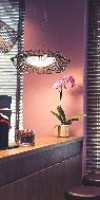Best Western Delmere Hotel