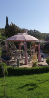 Delphin Rooms Sivota