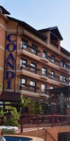 Hotel Coandi