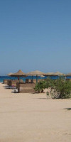 SHAMS SAFAGA