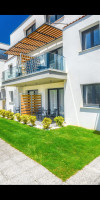 Olive Roots Thassos