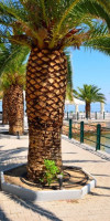 ST CONSTANTIN  VILLAGE HOTEL & SUITES