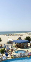 Kaliopa