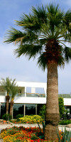 Flora Hotel