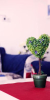 Gile Guest House
