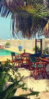 Mambo Paradise