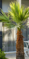 CHARM BEACH HOTEL