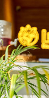 Lilium Boutique