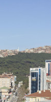 216 Palace
