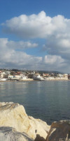 Acacia Marina