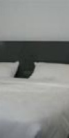 Adonis Hotel Strasbourg