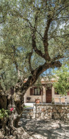 Agrikia Villa
