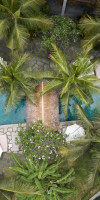 Alaya Resort Ubud
