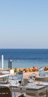 Albatros Palace Sharm