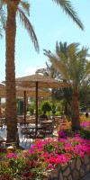 Albatros Royal Grand Resort  (Adults Only 16+)