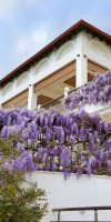 Alexandros Palace