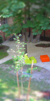 AllYouNeed Hotel Vienna2