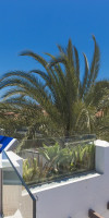ALSOL CARIBES II