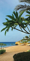ALUA TENERIFE