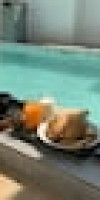 Amadha Pool Villas
