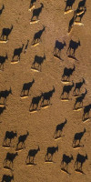 Anantara Sir Bani Yas Island Al Yamm Villa Resort
