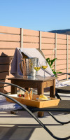 Anasa Luxury Villas