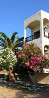 Andysgardens