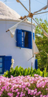 Anemomilos Studios