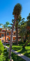 Apartamentos Ambassador