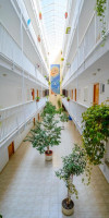 Apartamentos Avenida