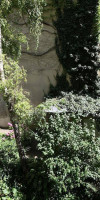 Apartment Gassergasse