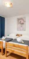 Apartment Lolo