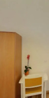 Apartment Mihe