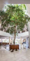 Aristoteles Holiday Resort & Spa