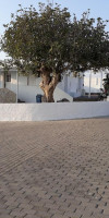 Artemis Studios