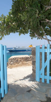 Asimina Mykonos