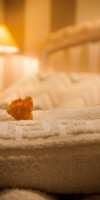 OLUDENIZ RESORT BY Z HOTELS