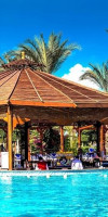 Hawaii Le Jardin