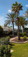 Beachfront Apartment Playa Del Aguila