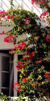 Black Sandy Beach Hotel